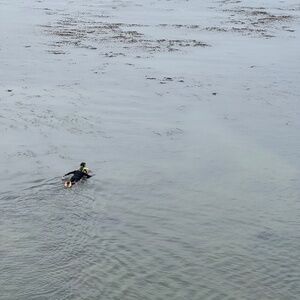 Meet your Posher, Kirin